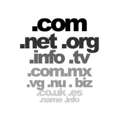 Het domein, eu, com, net, org, info, biz, naam, mobi