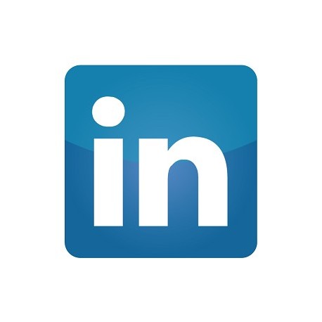 Capire e usare Linkedin