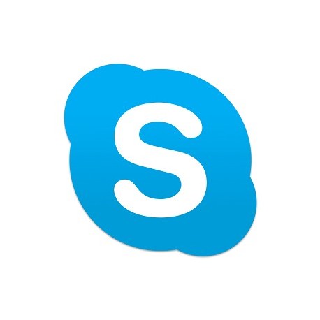 Capire e usare Skype