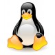 Curso de Linux Basic