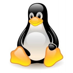 Curso básico de Linux