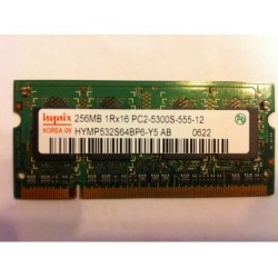 1RX16 256 MB HYNIX PC2-5300-555-12